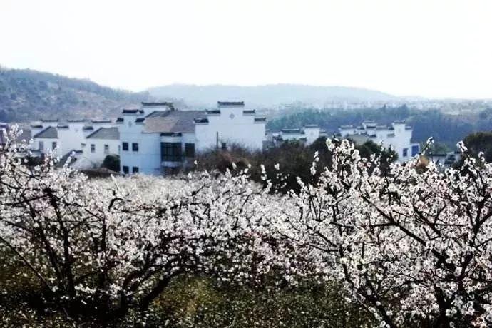 矿工打地鼠